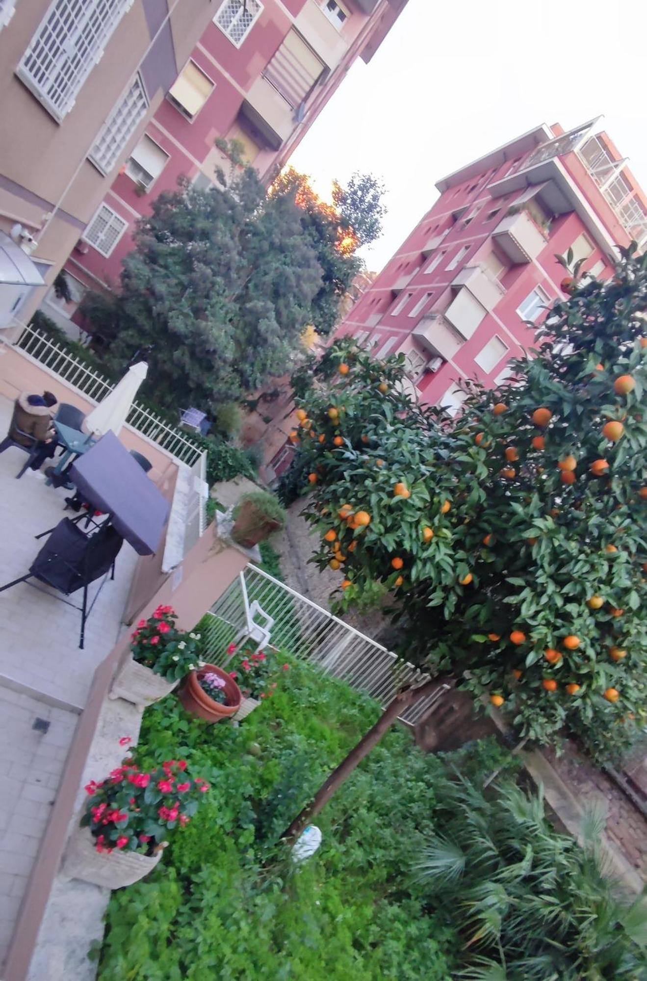 Vatican Green Garden Řím Exteriér fotografie